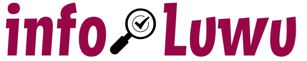 infoluwu.com